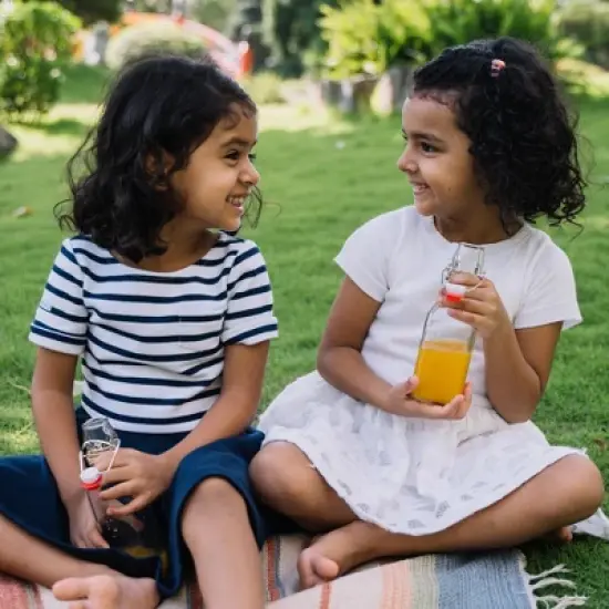 Nevlers Glass Swing Drinking Bottles - Airtight Seals 8.5oz (12pk) image {3}