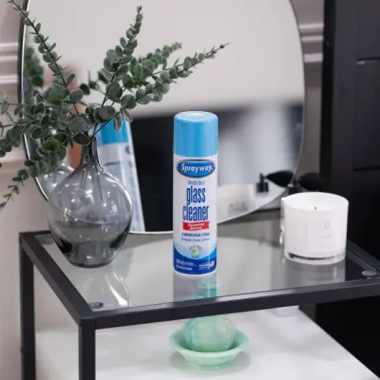 Sprayway Glass Cleaner Ammonia Free Aerosol - 19oz image {2}