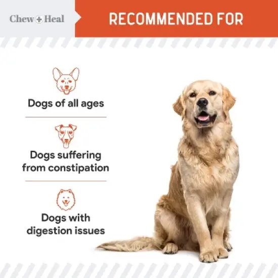 Chew + Heal Organic Pumpkin Digestive Defense Superfood Blend Powder Digestive Aid Supplement for Dogs, 16-oz jar image {6}