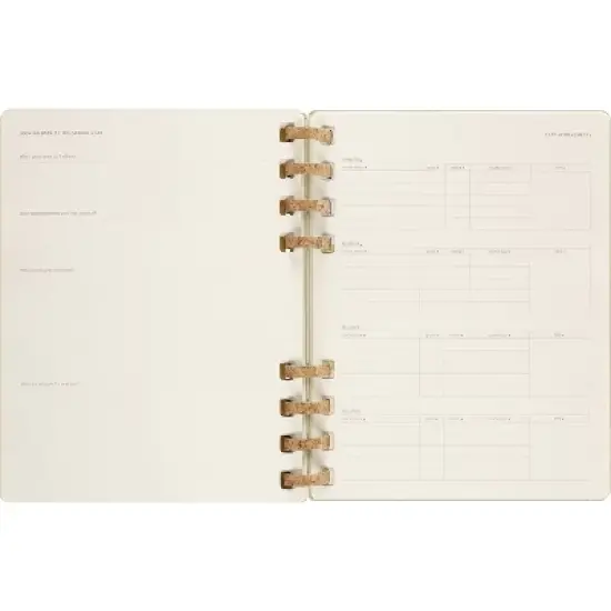Moleskine 2023-24 Academic Spiral Planner 8"x9.25" Kiwi image {7}