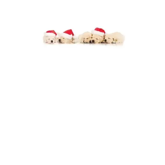 Great Papers! Holiday Stationery Santa Puppies 8.5" x 11" 80 Sheets (2017018) image {1}