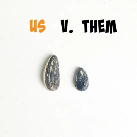 Sunflower Seed VARIETY PACK image {6}