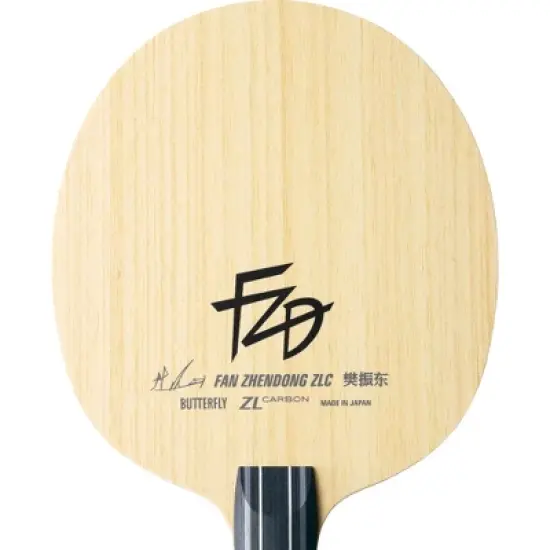 Butterfly Fan Zhendong ZLC CS image {1}