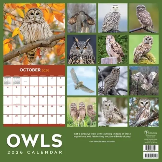 TF Publishing 13.5"x14.5" 2026 Owls Wall Calendar image {4}