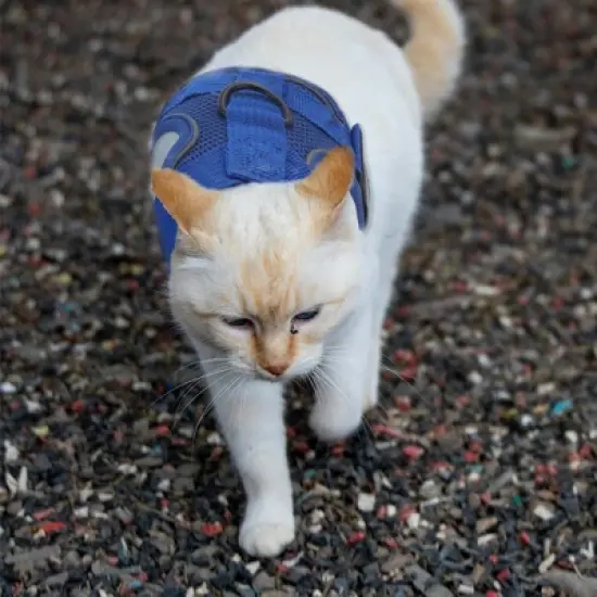 Unique Bargains Cat Harness and Leash with Reflective Strips Medium Blue 1 Set image {5}