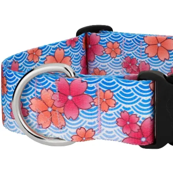 Country Brook Petz HossFit Jr Wide Deluxe Dog Collar - Spring Collection image {5}