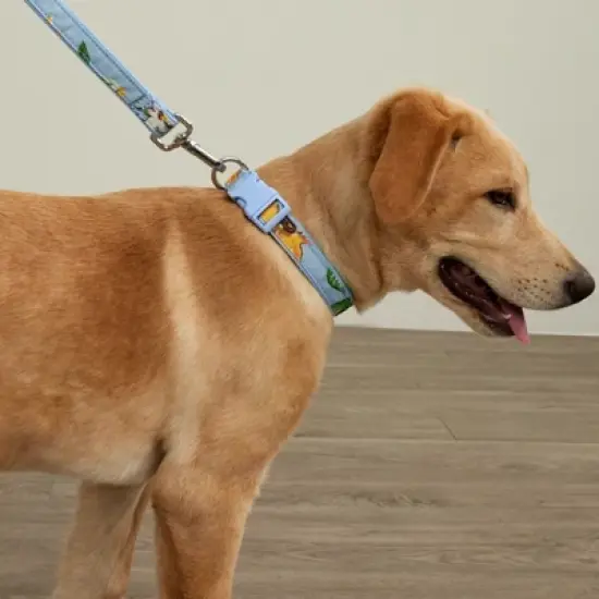 Vera Bradley Pet Leash image {2}