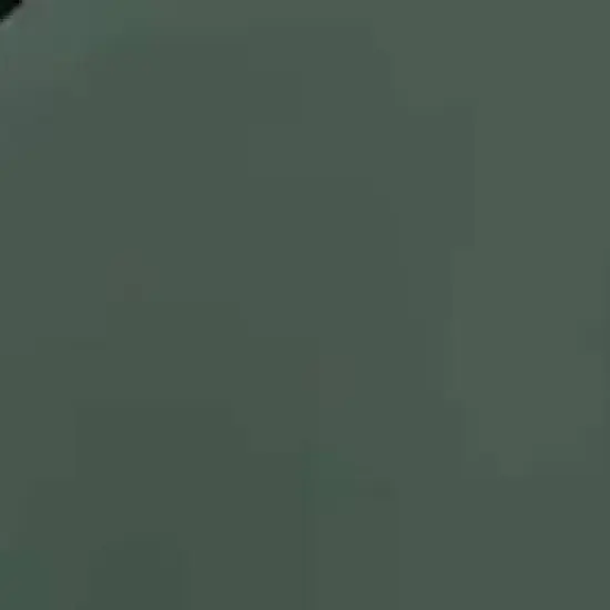 ThinOptics Los Altos Round Polarized Sunglasses with Case image {2}