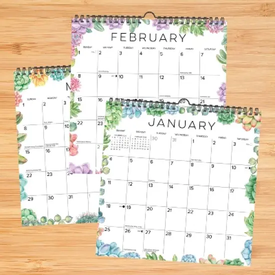 Willow Creek Press 12"x12" 2026 Succulents Spiral Wall Calendar image {2}