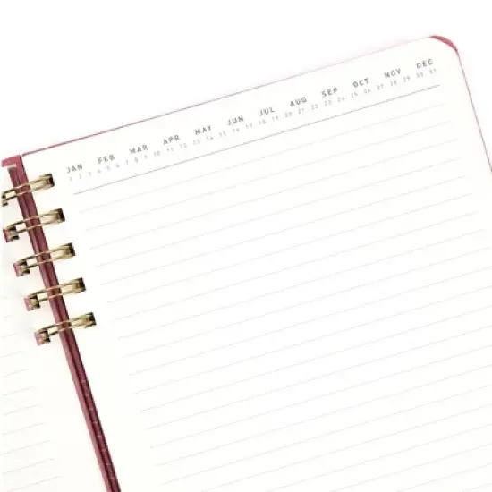 Altitude Supplies Spiral Notebook 6.25"x8.5", 160 Lined Pages, Mauve Pink Arch Cover image {1}