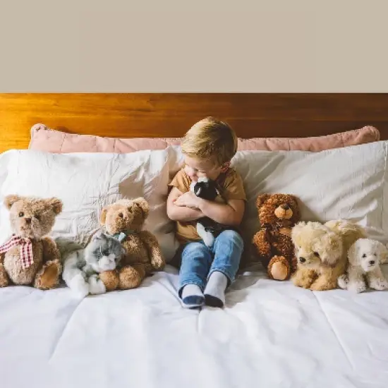 Bearington Ringo Plush Raccoon Stuffed Animal, 10.5 Inch image {4}