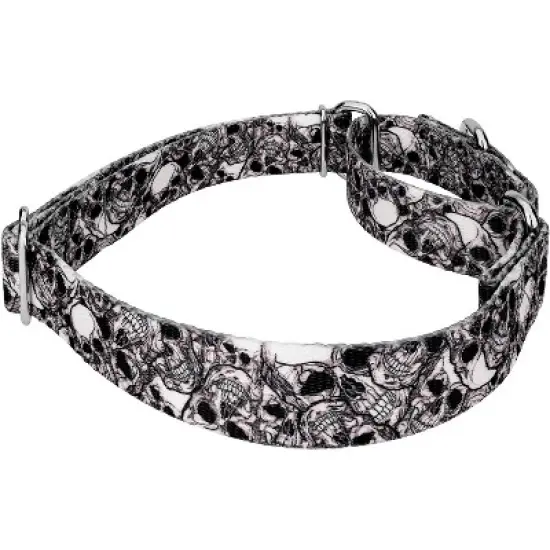 Country Brook Petz Phantom Skulls Martingale Dog Collar (1 Inch, Medium) image {2}