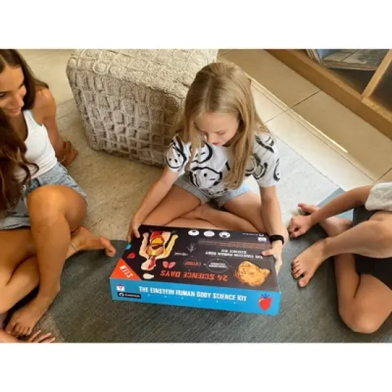 The Purple Cow The Human Body Advent Calendar: Educational Paper & Cardboard Winter Display image {29}