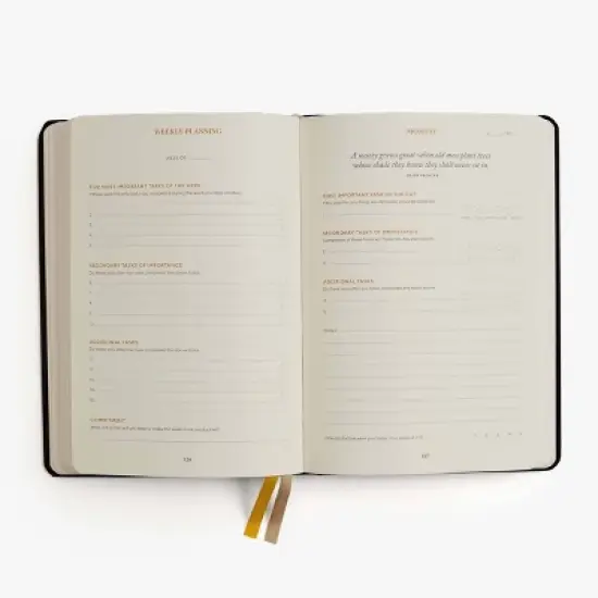 Undated The Productivity Planner - Intelligent Change image {4}