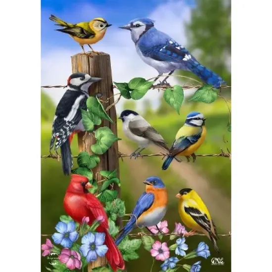 Briarwood Lane Spring Garden Flag 12x18 For Outdoor Country Birds For Spring Garden Flag Flags For Outside image {4}