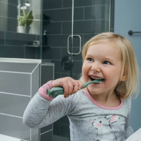 Dr. Brown's Toddler Toothbrush with Soft Bristles - Green & Orange Dinosaur - 2-Pack - 1-4 years - Soft image {4}