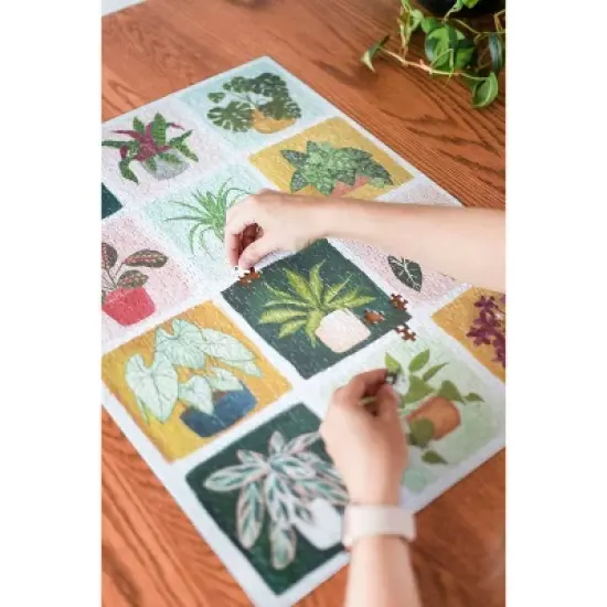 1canoe2 Houseplants Puzzle Jigsaw Puzzle - 1000pc image {8}