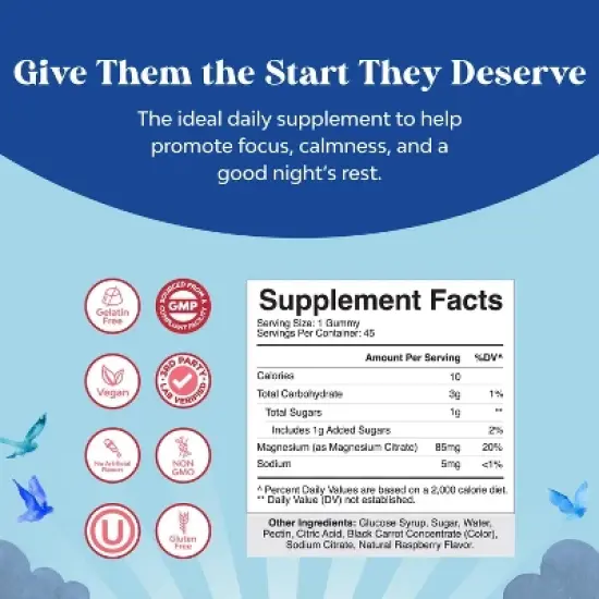 Kids Magnesium Gummies, Calm Relaxing Mag Citrate Supplement, Nerve Health, Muscles & Heart Support, Nature's Craft, Raspberry Flavor, 45 or 90ct image {1}