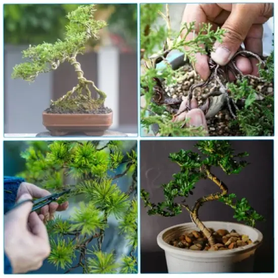 Unique Bargains Aluminum Anodized Flexible Floral Stem Bonsai Training Wire image {5}