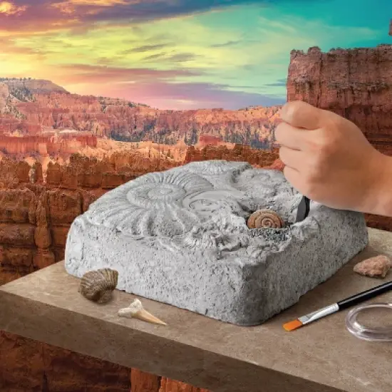 Discovery #Mindblown Colossal Fossil Dig 15pc Excavation Kit image {1}