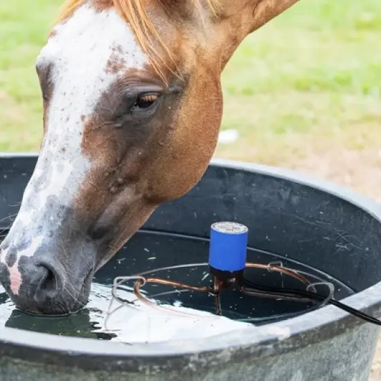 Farm Innovators Economic Tank De-Icer image {4}