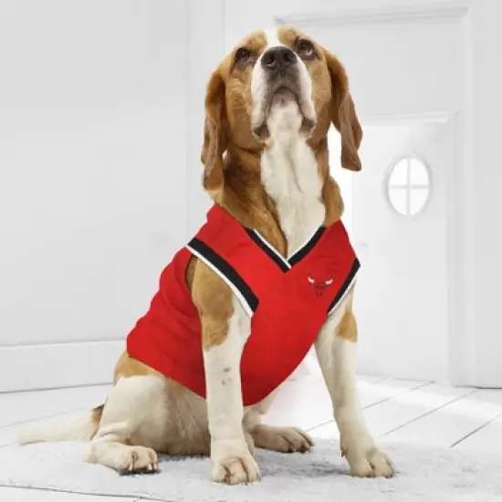 NBA Chicago Bulls Pets Basketball Mesh Jersey image {3}