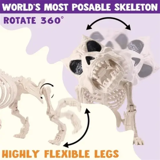Joyfy 2 PCS 16" Halloween Decoration Dog Puppy Skeleton Full Body Posable for Spooky Scene Decor Halloween Party Favors Haunted House Graveyard Props image {3}