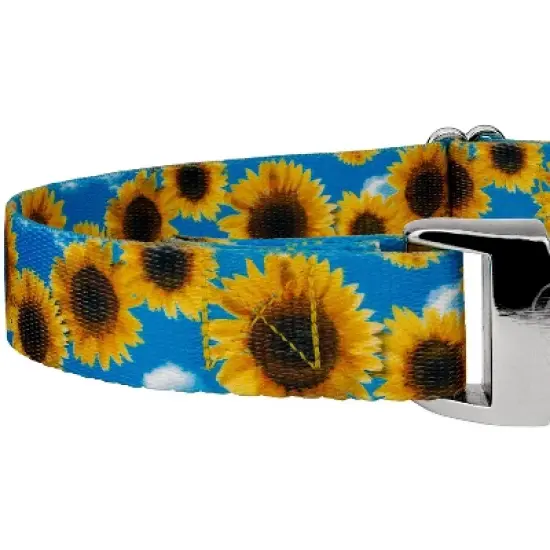 Country Brook Petz Martingale Dog Collar with Premium Buckle - Floral Collection image {5}