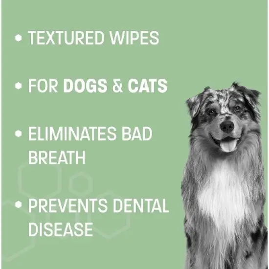Pet Health Pros; Dental Wipes for Dogs & Cats; Fresh Breath, Plaque Removal, Tartar Control; Pack of 50, Mint Scented image {2}