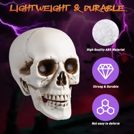 Yescom Yesocm 4 Pcs Life Size Skeleton Skull Halloween Realistic Human Model Moving Jaw Outdoor Indoor Decorations image {2}