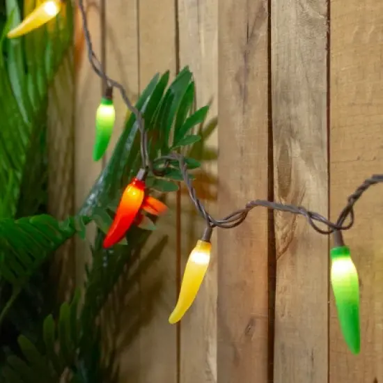 Northlight 35-Count Vibrantly Colored Chili Pepper String Light Set, 22.5' Brown Wire image {1}