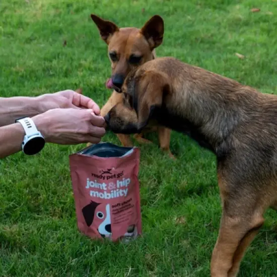 Ready Pet Go Joint & Hip Mobility Chews for Dogs, With Glucosamine Chondroitin MSM, Turmeric & Hyaluronic Acid, Grilled Chicken Flavor, 60 or 90ct image {5}