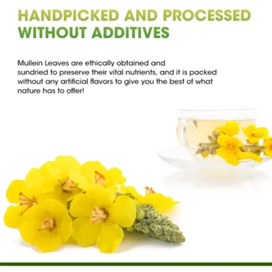 B Beworth Mullein Leaf Tea for Lungs Cleanse and Respiratory Support, Caffeine Free, 42 Tea Bags image {3}