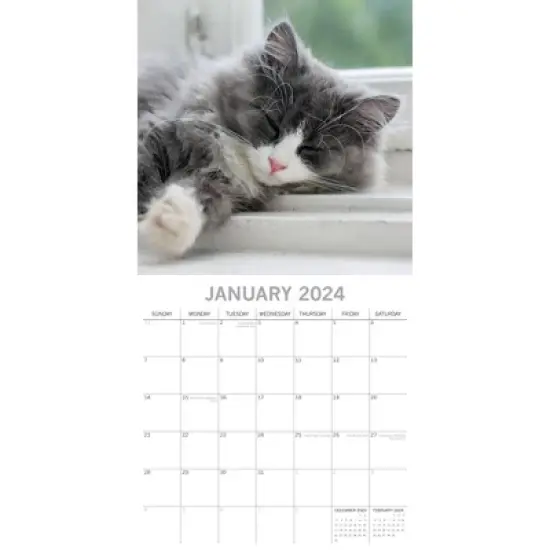 The Gifted Stationery 2024 Square Wall Calendar, Cat Naps, 16-Month Animals Theme with 180 Reminder Stickers (12 x 12 In) image {1}