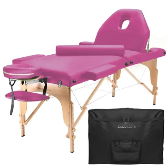 Saloniture Professional Portable Massage Table with Backrest image {11}