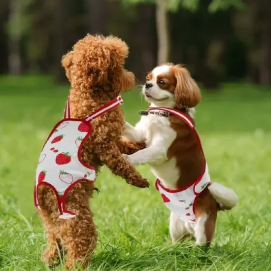 Unique Bargains Dog Diapers for Female Dog Period Washable Reusable with Adjustable Suspender image {2}