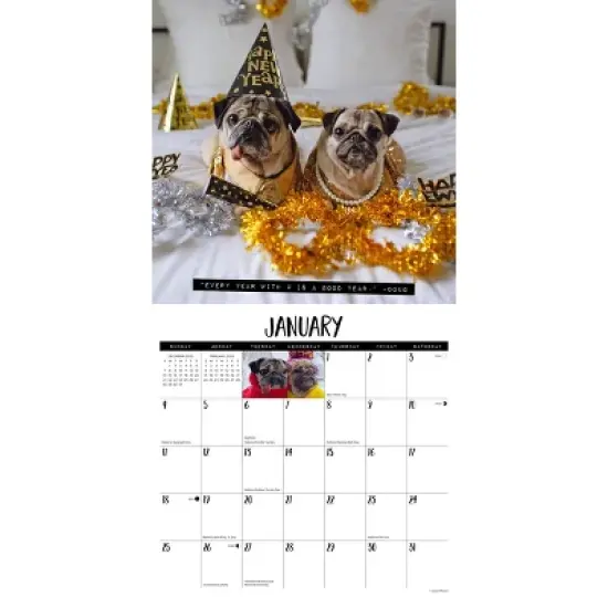 Willow Creek Press 12"x12" 2026 Doug the Pug and Dory Wall Calendar image {2}
