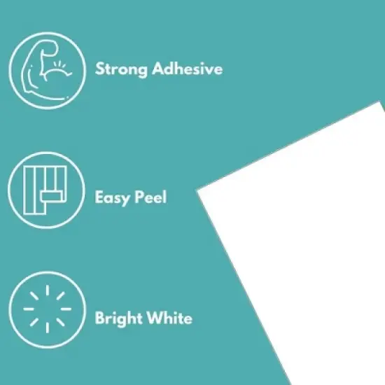 PSBM 4 Rolls 4"x 2" Thermal Transfer Labels, White, High Bond Adhesive - 11500 Labels image {4}