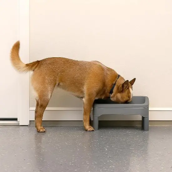 IRIS USA Adjustable Elevated Dog Bowls Removable Feeding Station, Gray image {4}