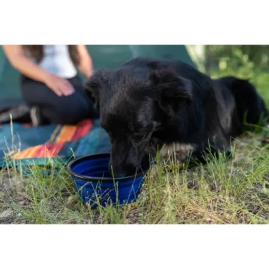 Stansport Collapsible Silicon Travel Bowls - 2 Pack image {6}