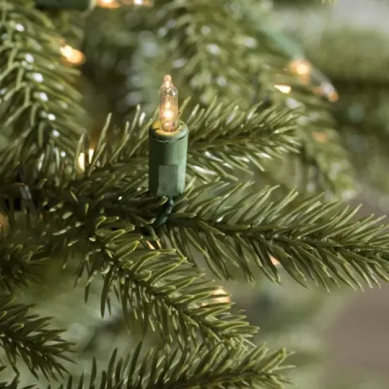 Balsam Hill 6.5' Clear LED Stratford Spruce Tree image {5}