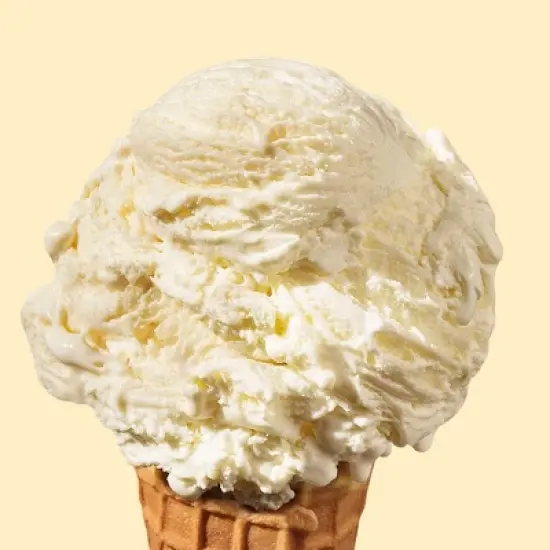 Tillamook Vanilla Bean Frozen Ice Cream - 16 fl oz image {1}