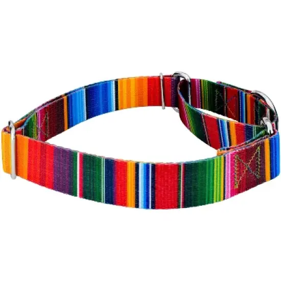 Country Brook Petz Serape Martingale Dog Collar image {2}