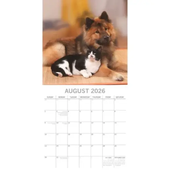 2026 Square Wall Calendar, Cats & Kittens, 16-Month Animals Theme with 180 Reminder Stickers (12x12 In) image {2}