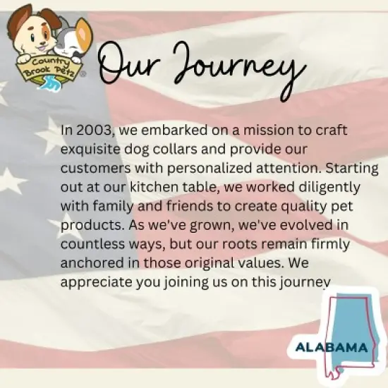 Country Brook Petz Deluxe Dog Collar - Chevron and Arrows Collection - Made in The U.S.A. image {4}