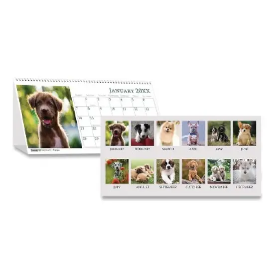Earthscapes Recycled Desk Tent Monthly Calendar, Puppies Photography, 8.5 x 4.5, White Sheets, 12-Month (Jan to Dec): 2026 image {4}
