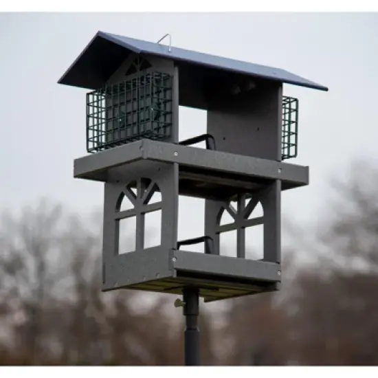 JCS Wildlife Double Fly Thru Bird Feeder with Suet Cages image {5}