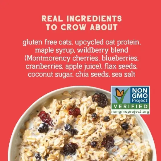 Seven Sundays Wild Berry Protein Oats - 16oz image {1}