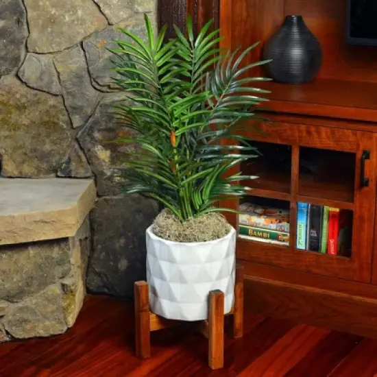 Mosser Spanish Decorative Moss, 250-Cubic Inch image {2}