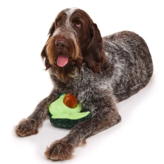 BARK Beg-n-Bag Large Box Dog Plush Toy Set - 5pc image {2}